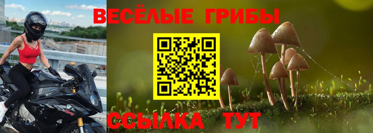 Галлюциногенные грибы ЛСД Чайковский
