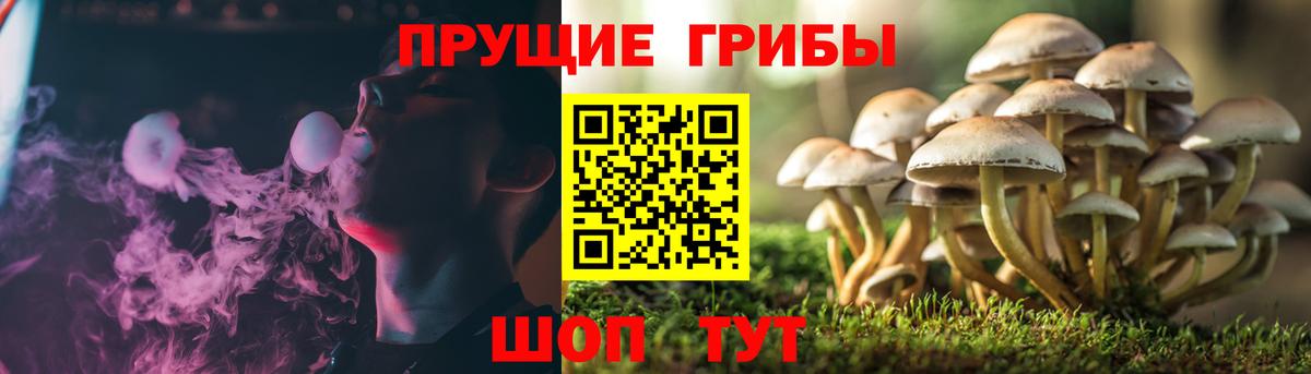 Галлюциногенные грибы Cubensis  Вход с VPN  Псилоцибиновые грибы Psilocybe  Чайковский 